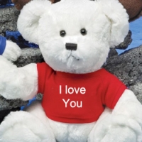 White teddy w/ shirt
